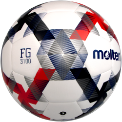 F3D3100-N